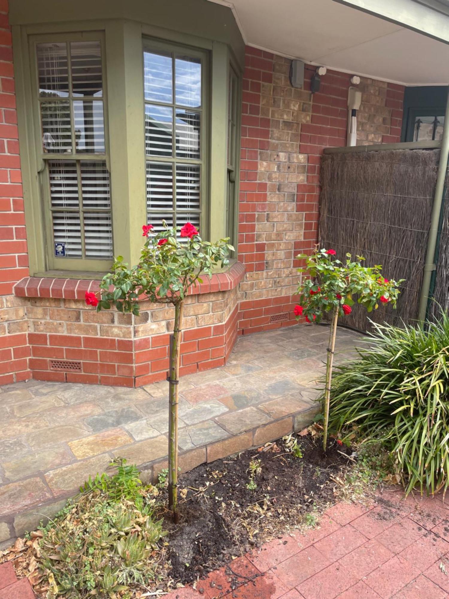 Adelaide Style Accommodation-Getaway In North Adelaide- Close To City Bagian luar foto