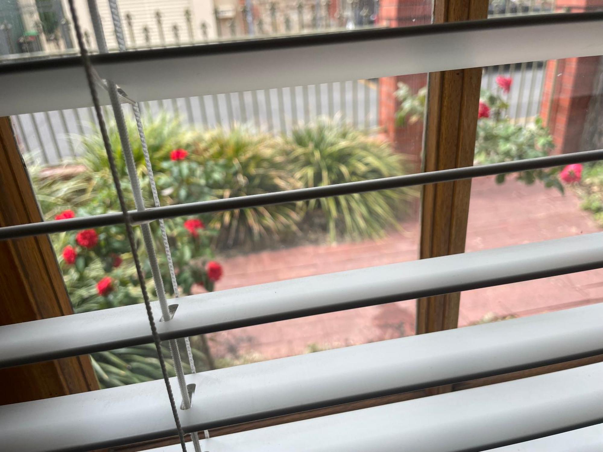 Adelaide Style Accommodation-Getaway In North Adelaide- Close To City Bagian luar foto