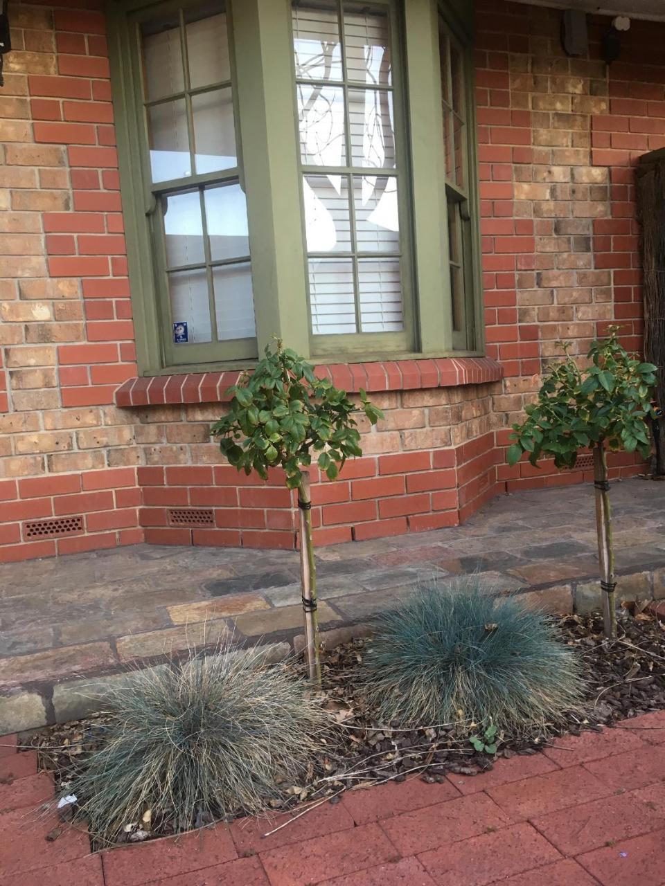 Adelaide Style Accommodation-Getaway In North Adelaide- Close To City Bagian luar foto